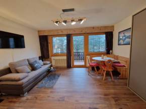 Superbe Studio au centre Nendaz